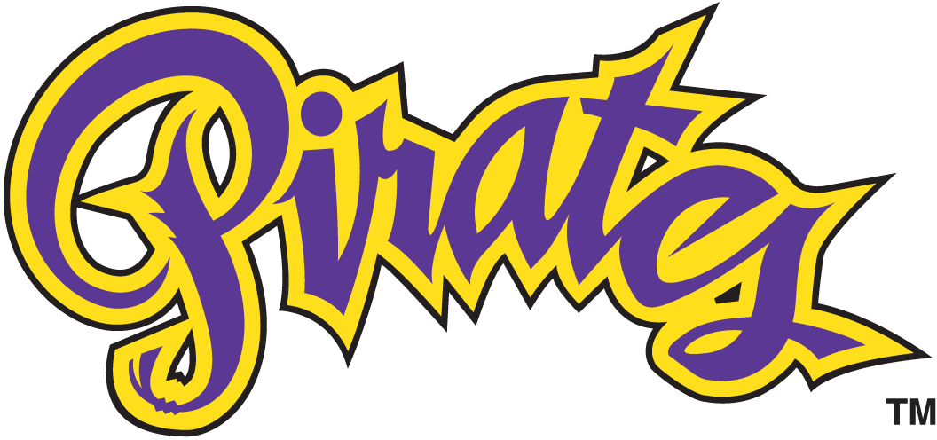 East Carolina Pirates 1999-2013 Wordmark Logo v4 iron on transfers for T-shirts